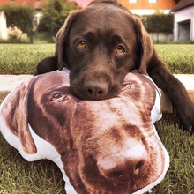 Pet Shaped Photo Pillow
